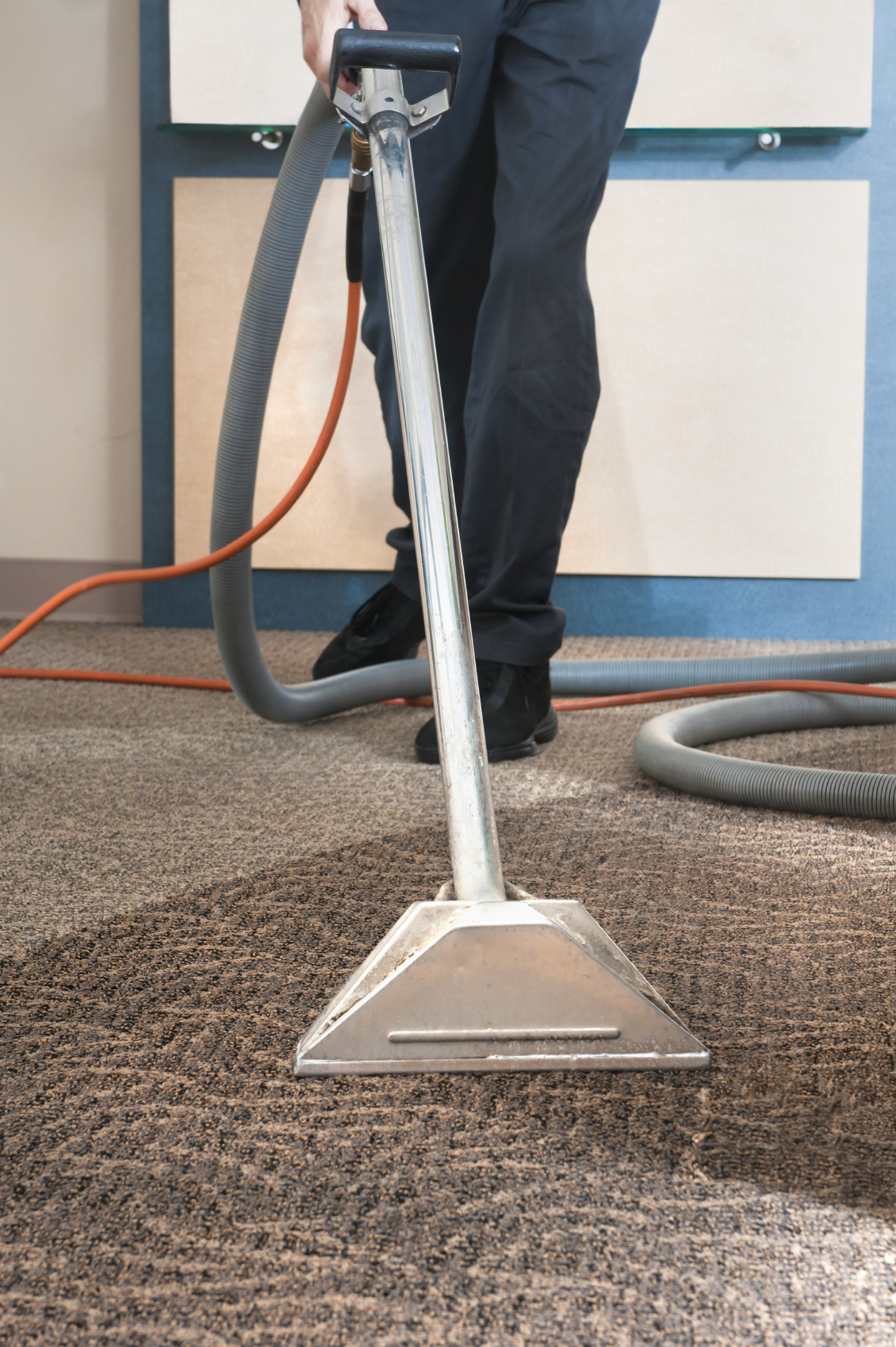 Making the Most Out of Your Carpet Extraction