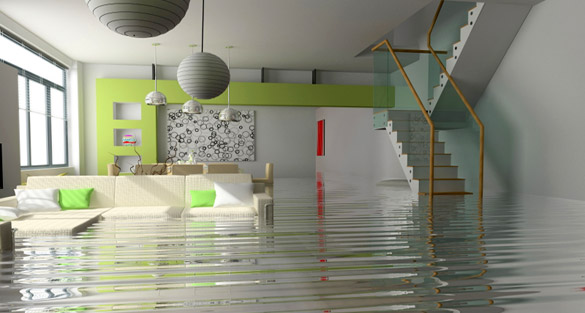 We Can Take Care Of Water Damage