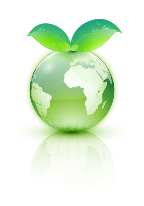 How To Reduce Your Company’s Carbon Footprint