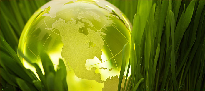 Why Green Commercial Cleaning Products?