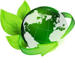 Easy Tips To Reduce Your Company’s Carbon Footprint