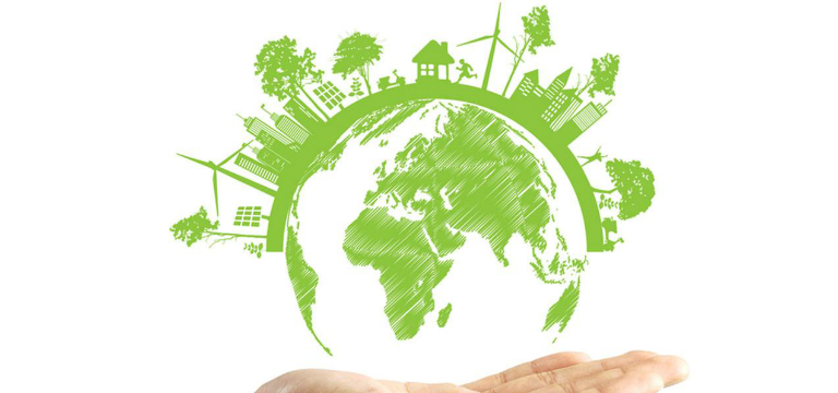 Steps To Become Eco-Friendly  EcoCare Professional Building